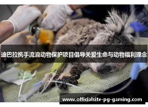 迪巴拉携手流浪动物保护项目倡导关爱生命与动物福利理念