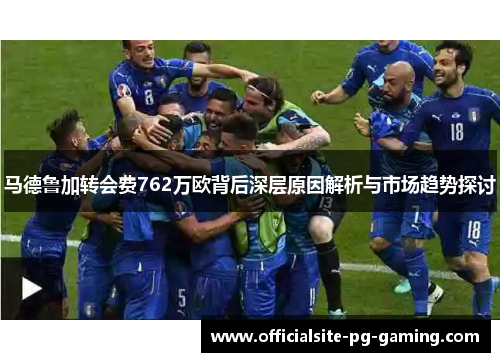 马德鲁加转会费762万欧背后深层原因解析与市场趋势探讨
