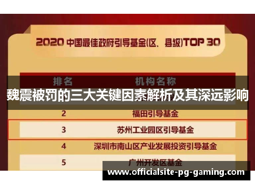 魏震被罚的三大关键因素解析及其深远影响