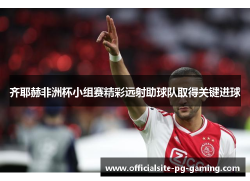 齐耶赫非洲杯小组赛精彩远射助球队取得关键进球 齐耶赫非洲杯小组赛精彩远射助球队取得关键进球
