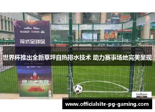 世界杯推出全新草坪自热排水技术 助力赛事场地完美呈现