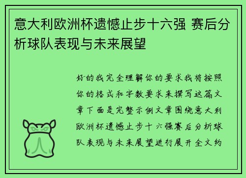意大利欧洲杯遗憾止步十六强 赛后分析球队表现与未来展望